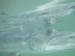 underwater