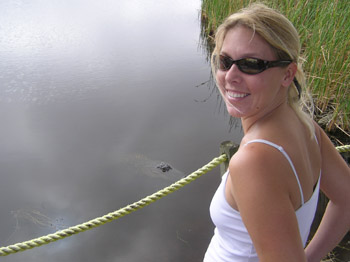 florida-gator