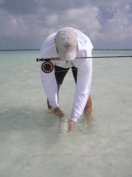 wading-for-bonefish