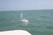 eric_sarah 032