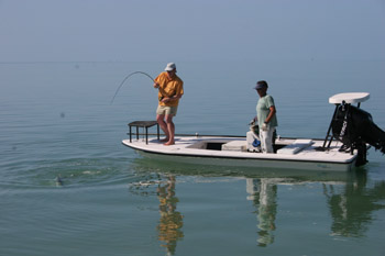 tarpon-fishing