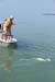 tarpon-flyfishing