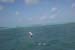tarponjumping
