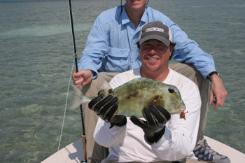 boxfish