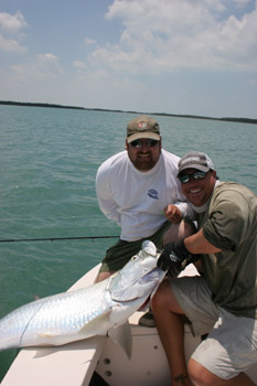 DonDuckTarpon