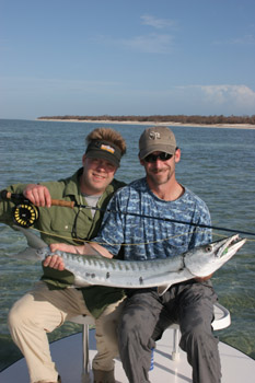 barracuda